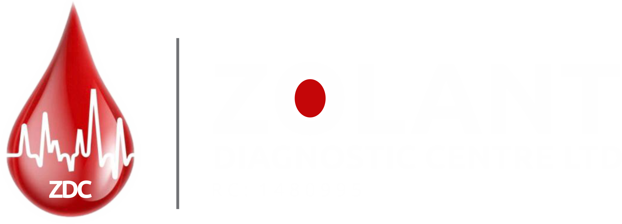 zolant_logo_white